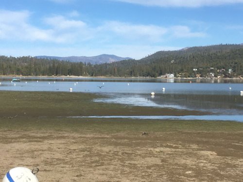 low water at the lake